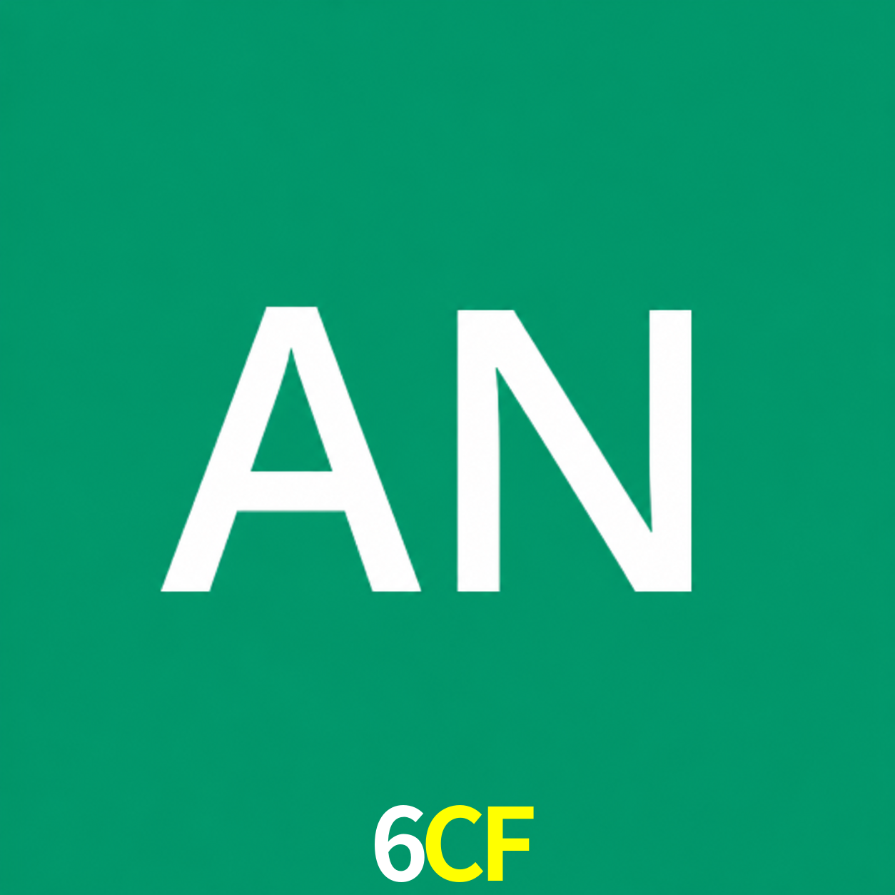 Adi Nugroho - Founder & CEO 6CF Indonesia